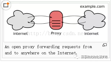 PHP 使用Nginx实现反向代理(面试常问到的) - 图2