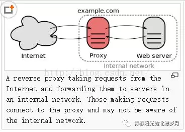 PHP 使用Nginx实现反向代理(面试常问到的) - 图3